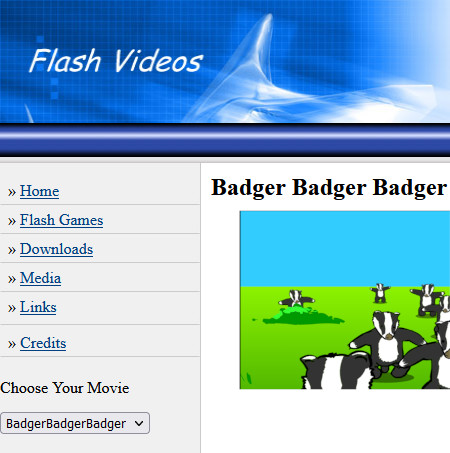 Flash Videos